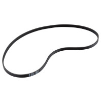 Belt for spinning bike 0700 - BLT0700 - Tecnopro